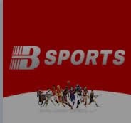 必一·运动(B-Sports)官方网站
